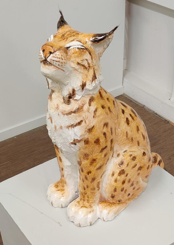 Lynx Sérenus Kipsi, oravankarva, 2024