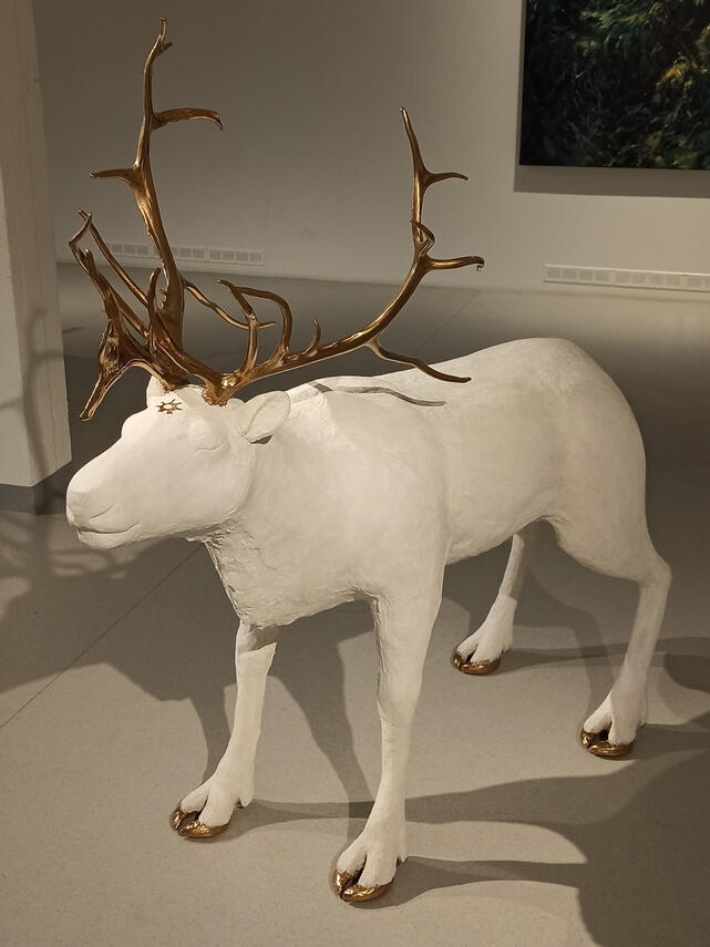 Beaivažá Skeaŋka Kipsi, harjateräs, poron sarvet. 162 x 70 x 158cm