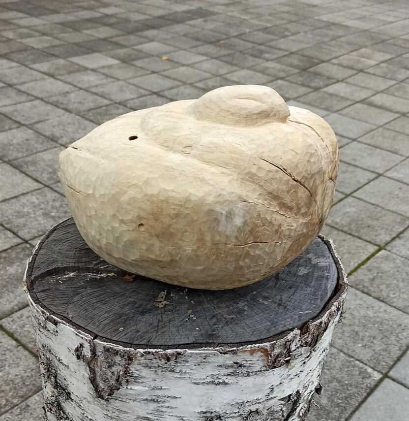 Riävska Koivupölli, 2020